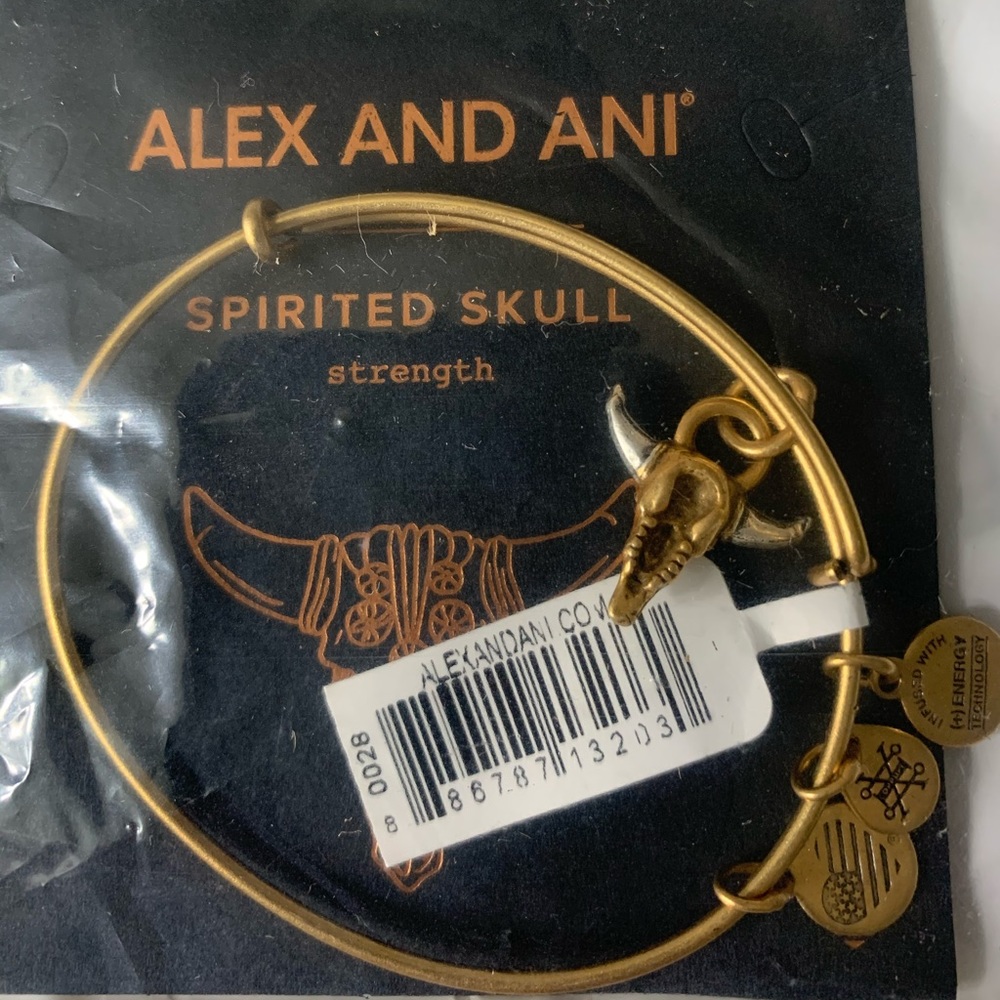 Alex & Ani Bracelet Spirited Skull